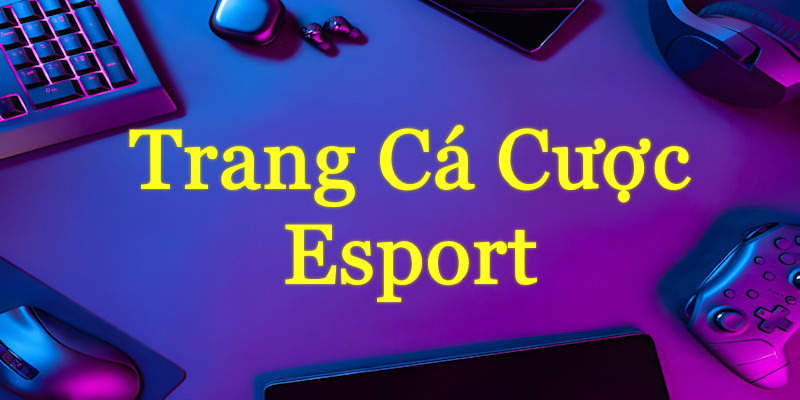 trang cá cược esports